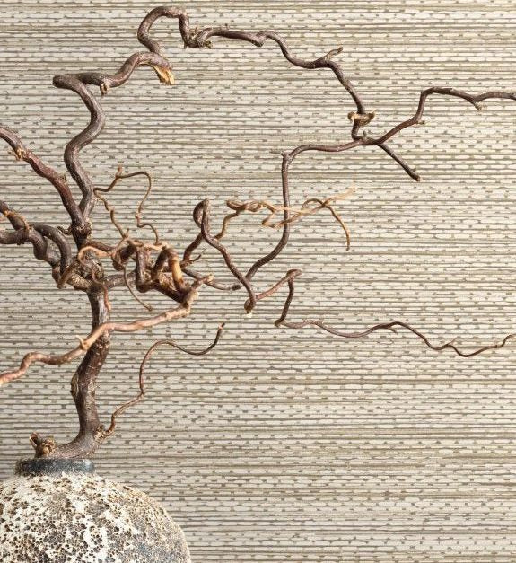 Today Interiors – Fibers and Threads - TH91810 – non woven- 68.58cm x 8.2m- Whole Roll