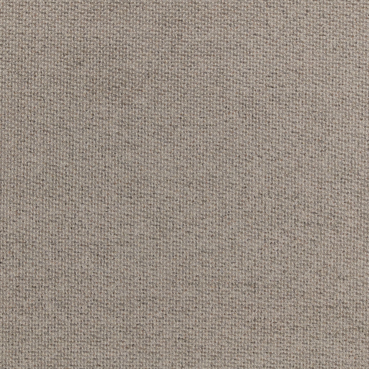 Warwick Tribeca Fossil