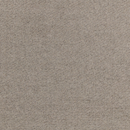 Warwick Tribeca Fossil