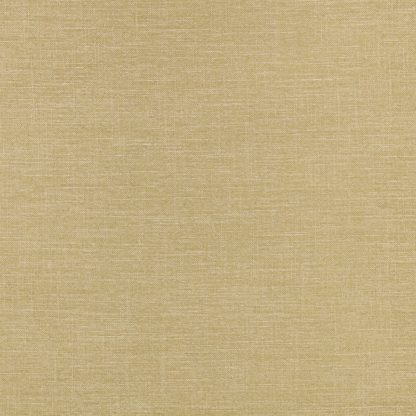 Villa Nova Alberta Palm