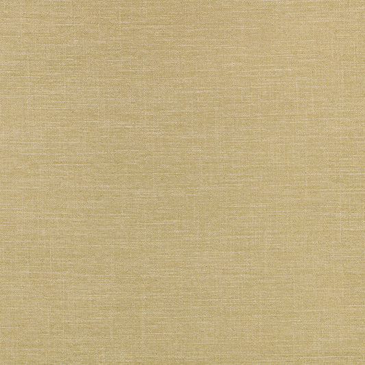 Villa Nova Alberta Palm