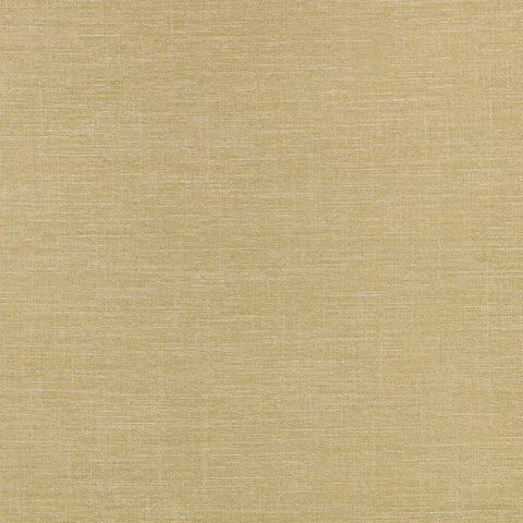 Villa Nova Alberta Palm