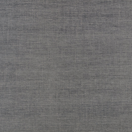 Villa Nova Alberta Fossil