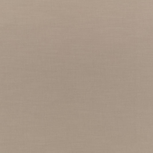 Villa Nova Bilbao Driftwood