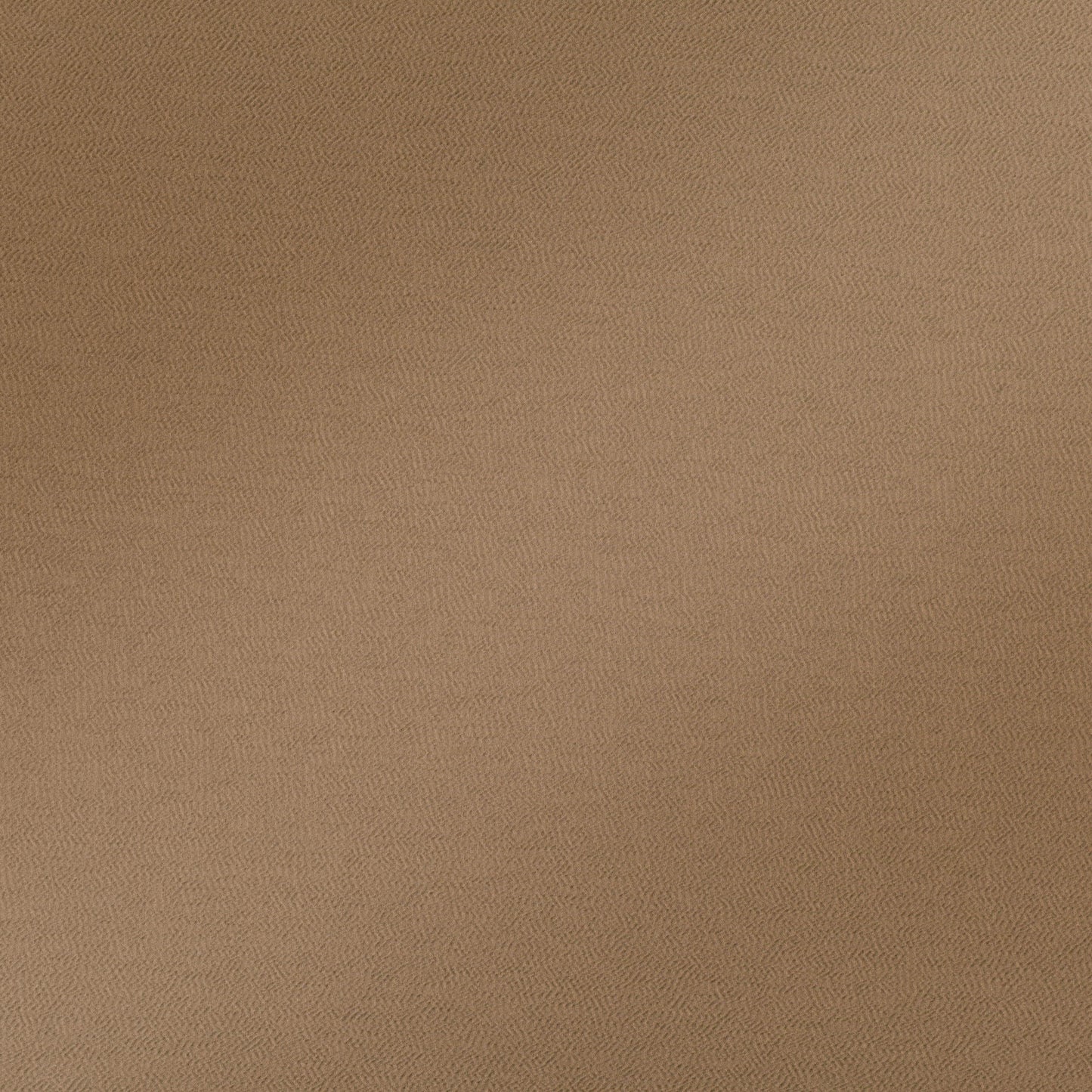 Villa Nova Kasian Nutshell