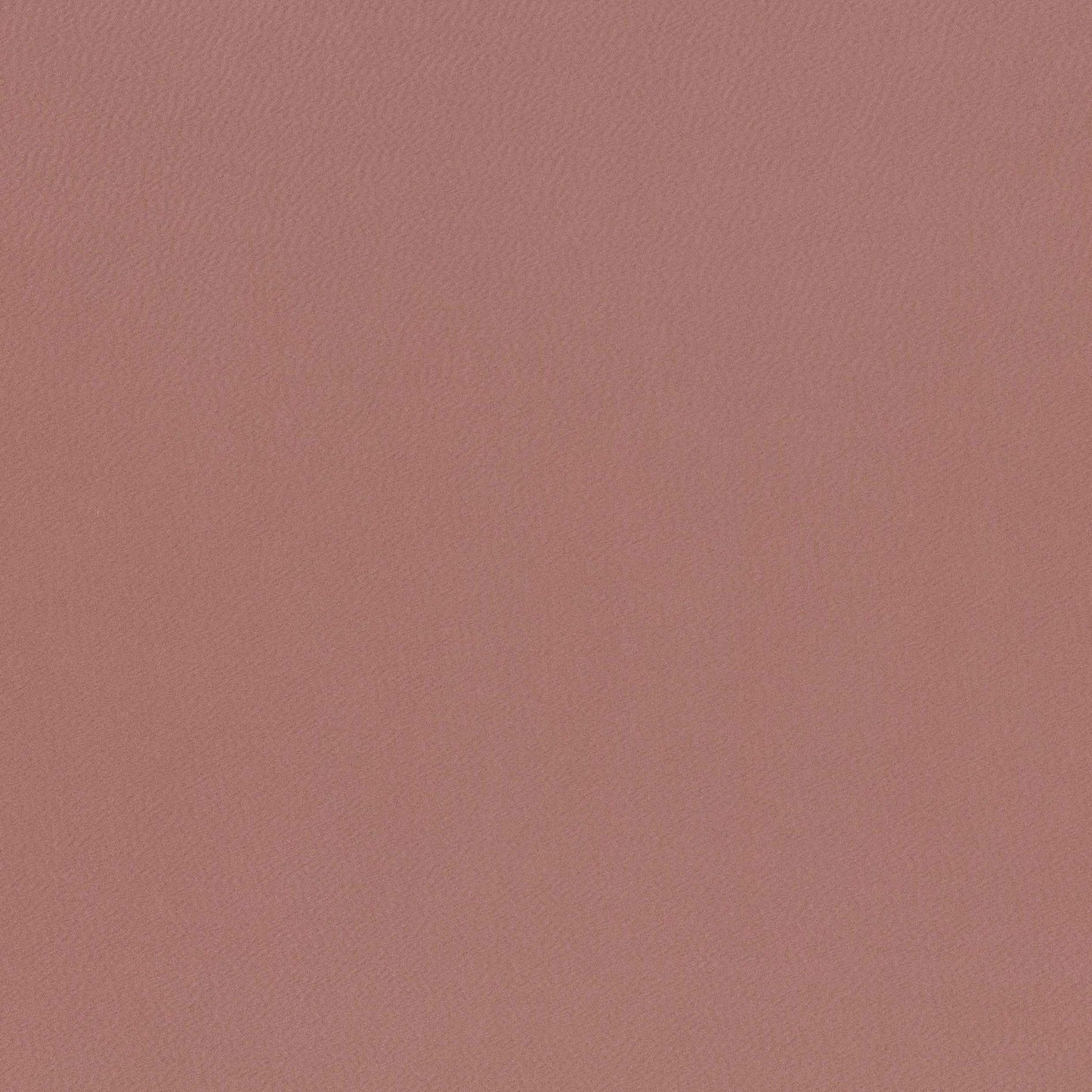 Villa Nova Kasian Hellebore