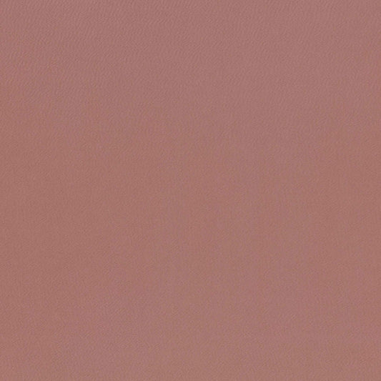 Villa Nova Kasian Hellebore