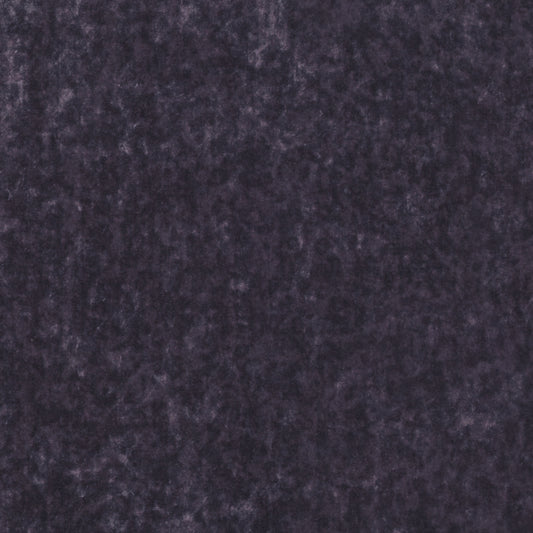 Villa Nova Mira Nightshade