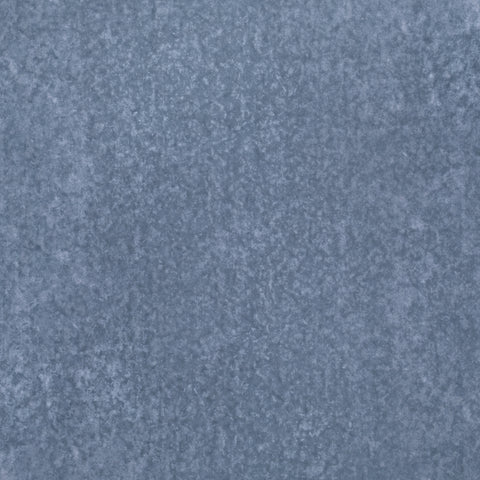 Villa Nova Mira Dolphin