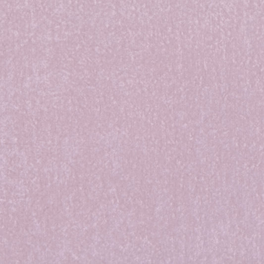 Villa Nova Mira Waterlily