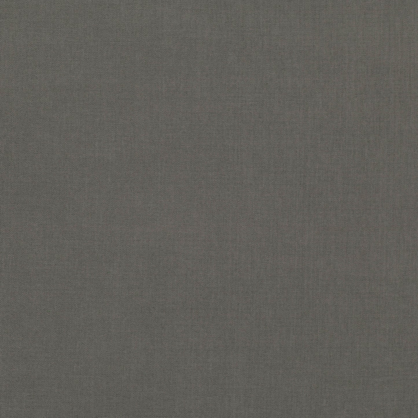 Villa Nova Lucerne Shrew