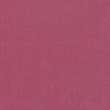 Villa Nova Lucerne Echinacea