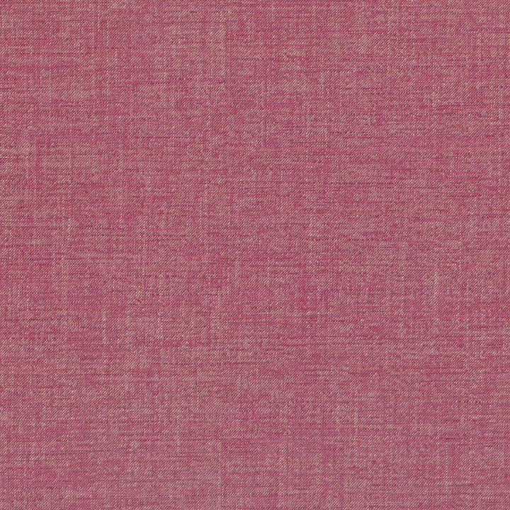 Villa Nova Vigo Echinacea