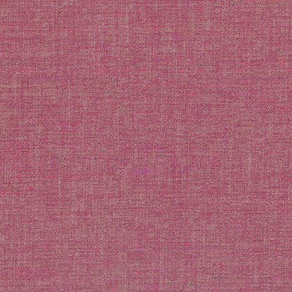 Villa Nova Vigo Echinacea