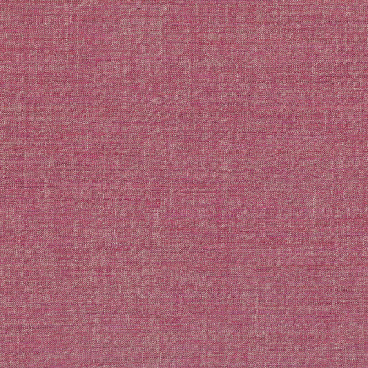 Villa Nova Vigo Echinacea