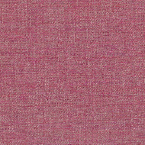 Villa Nova Vigo Echinacea