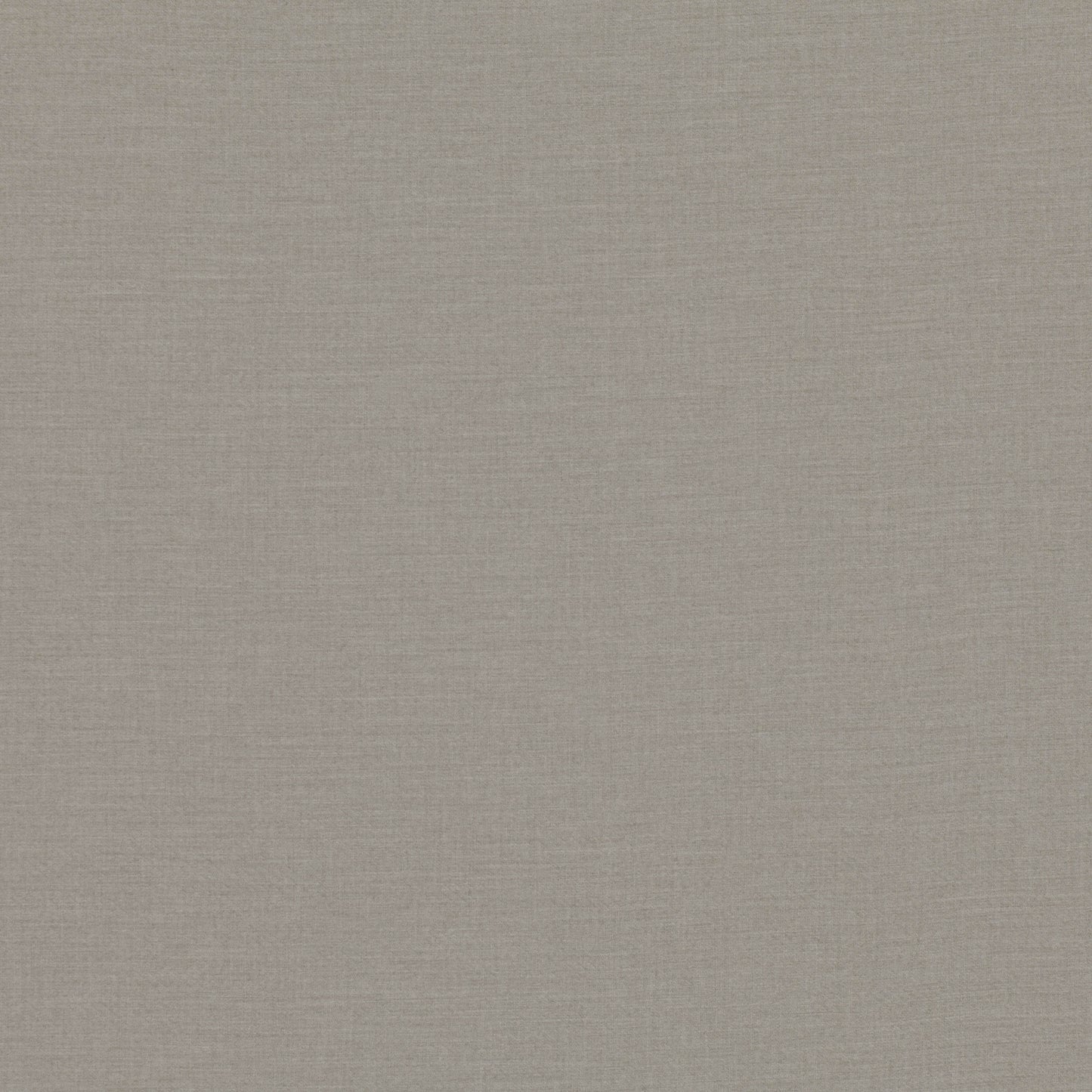 Villa Nova Verona Pigeon