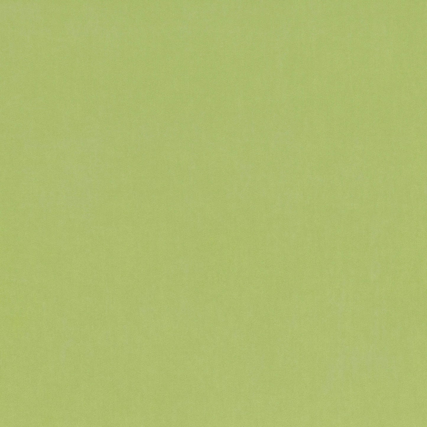 Villa Nova Barcelona Matcha