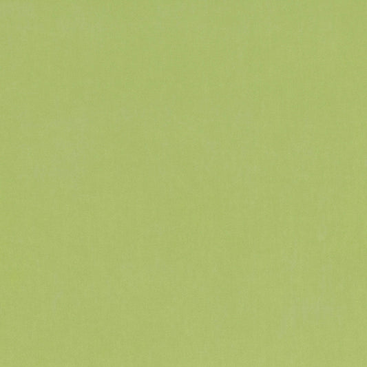 Villa Nova Barcelona Matcha