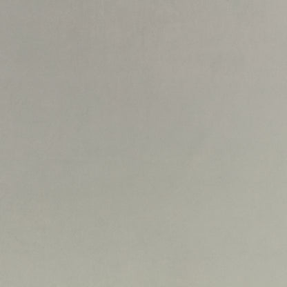 Villa Nova Atil II Pigeon