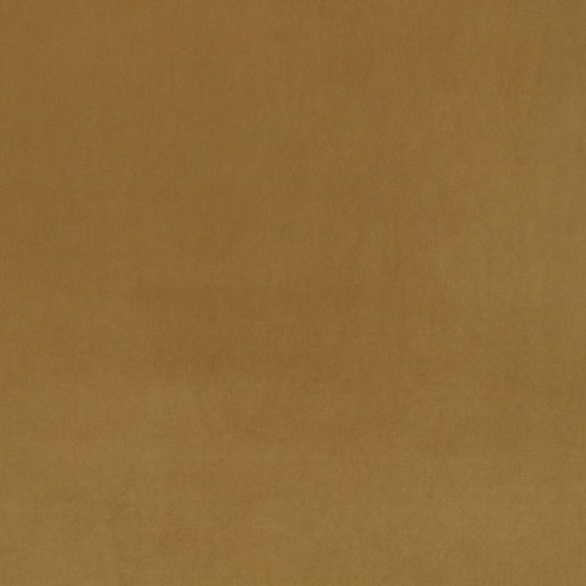 Villa Nova Atil II Acorn