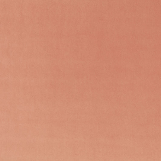 Villa Nova Atil II Rosebud