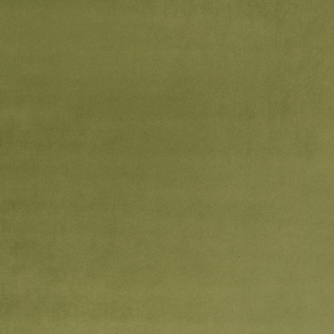 Villa Nova Atil II Kiwi