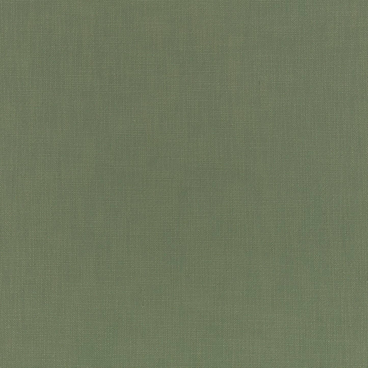 Villa Nova Faro Kelp