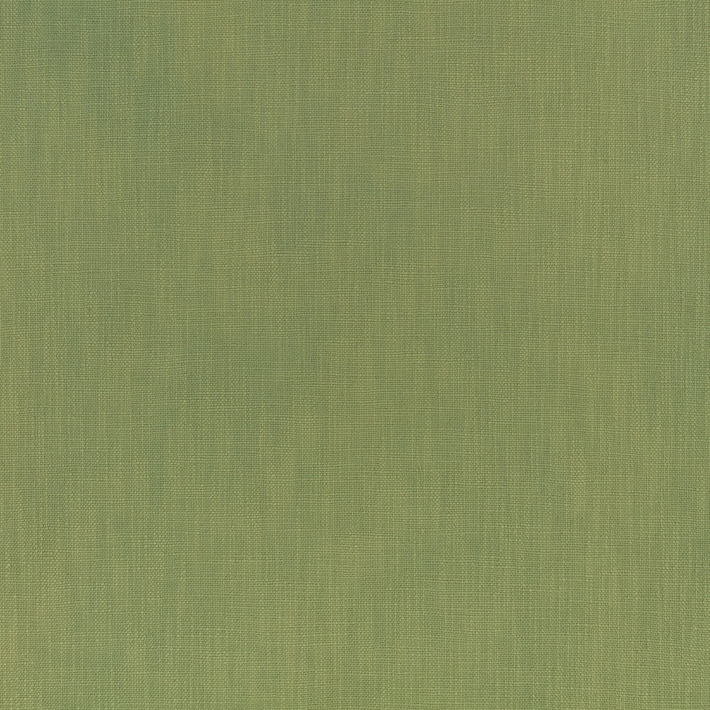 Villa Nova Faro Kiwi