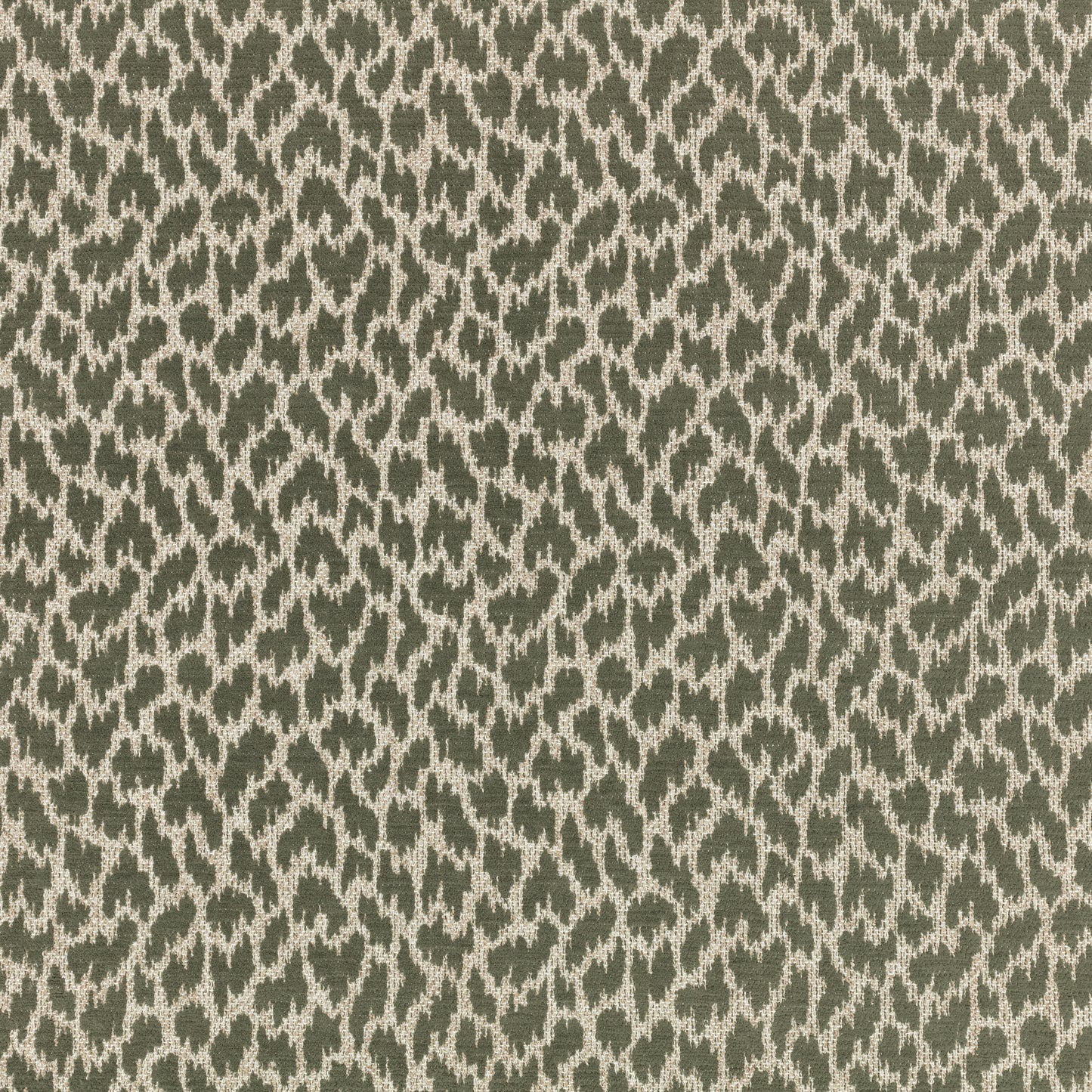 Villa Nova Zetta Kombu