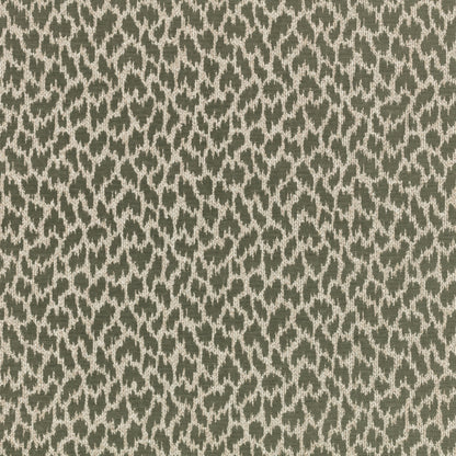 Villa Nova Zetta Kombu