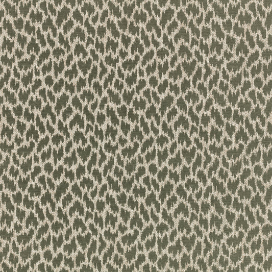 Villa Nova Zetta Kombu