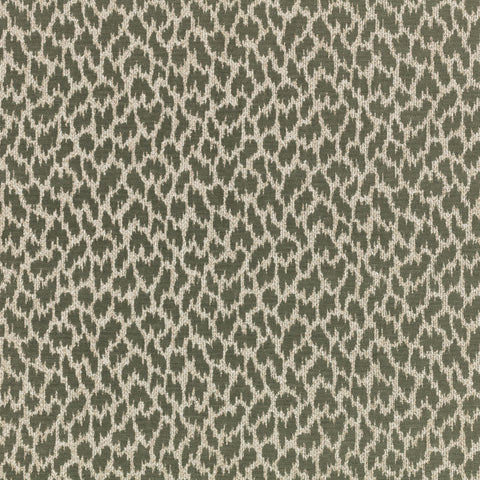 Villa Nova Zetta Kombu