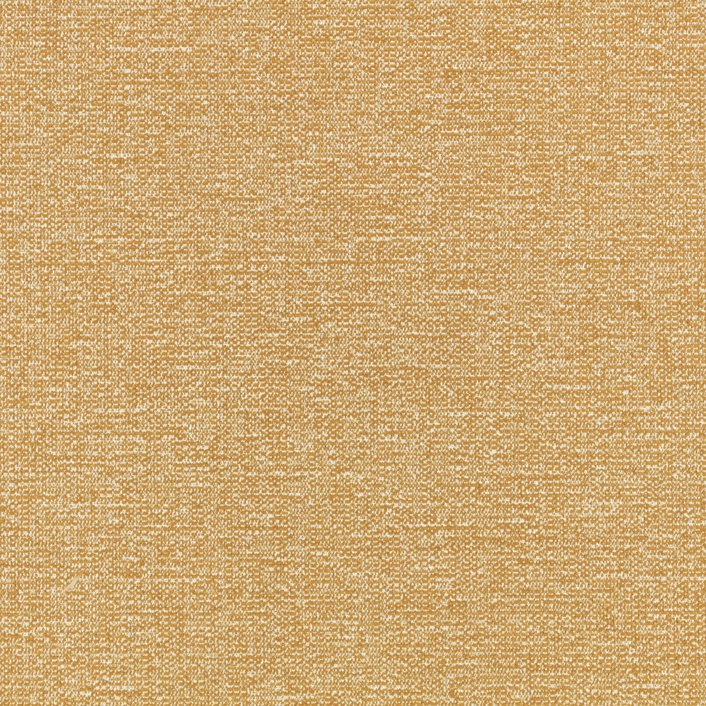 Villa Nova Nano Cumin