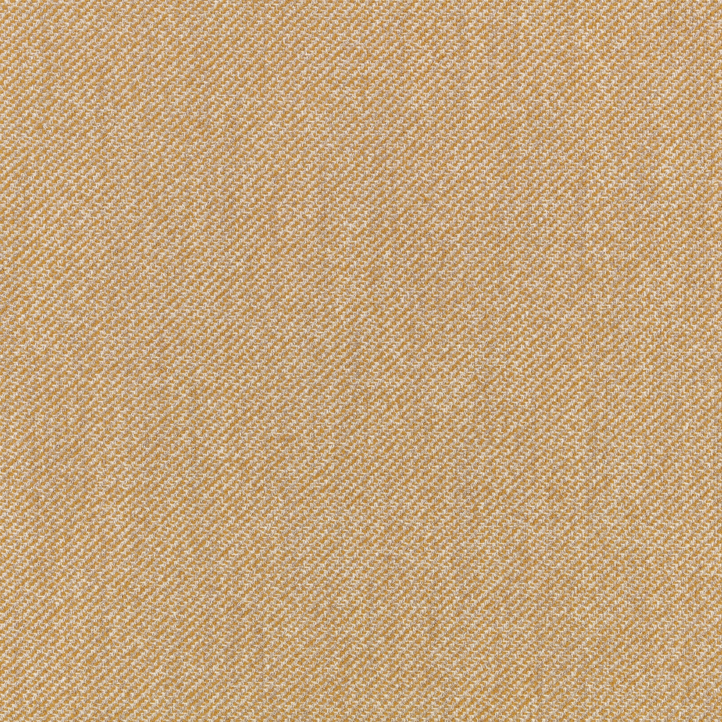 Villa Nova Atto Cumin