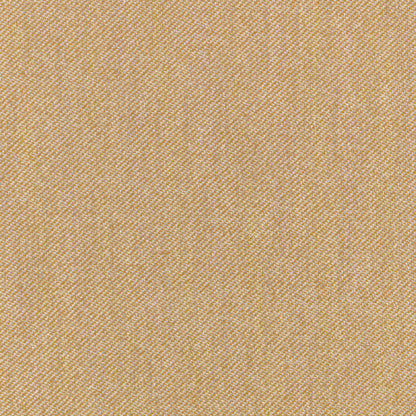 Villa Nova Atto Cumin