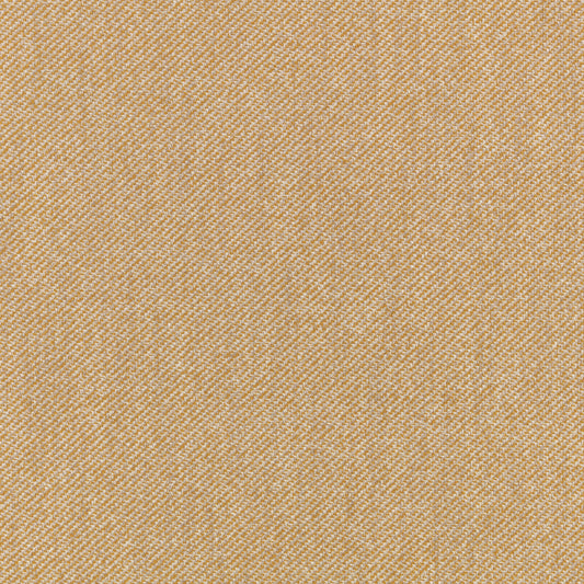 Villa Nova Atto Cumin