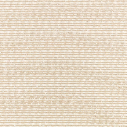 Villa Nova Torus Bone