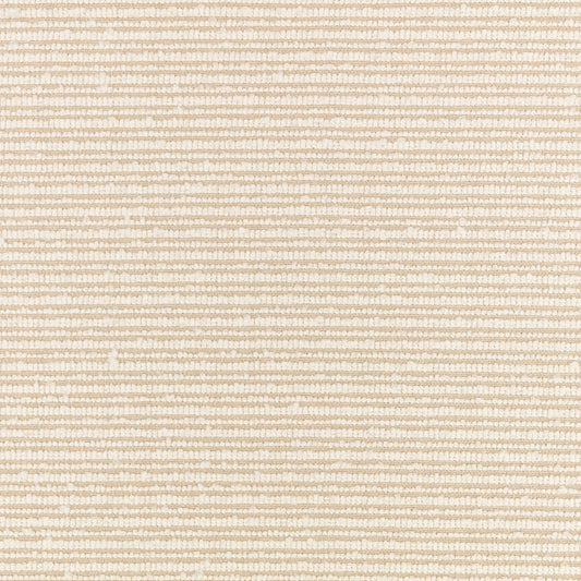 Villa Nova Torus Bone