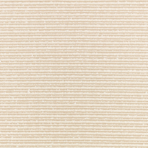 Villa Nova Torus Bone