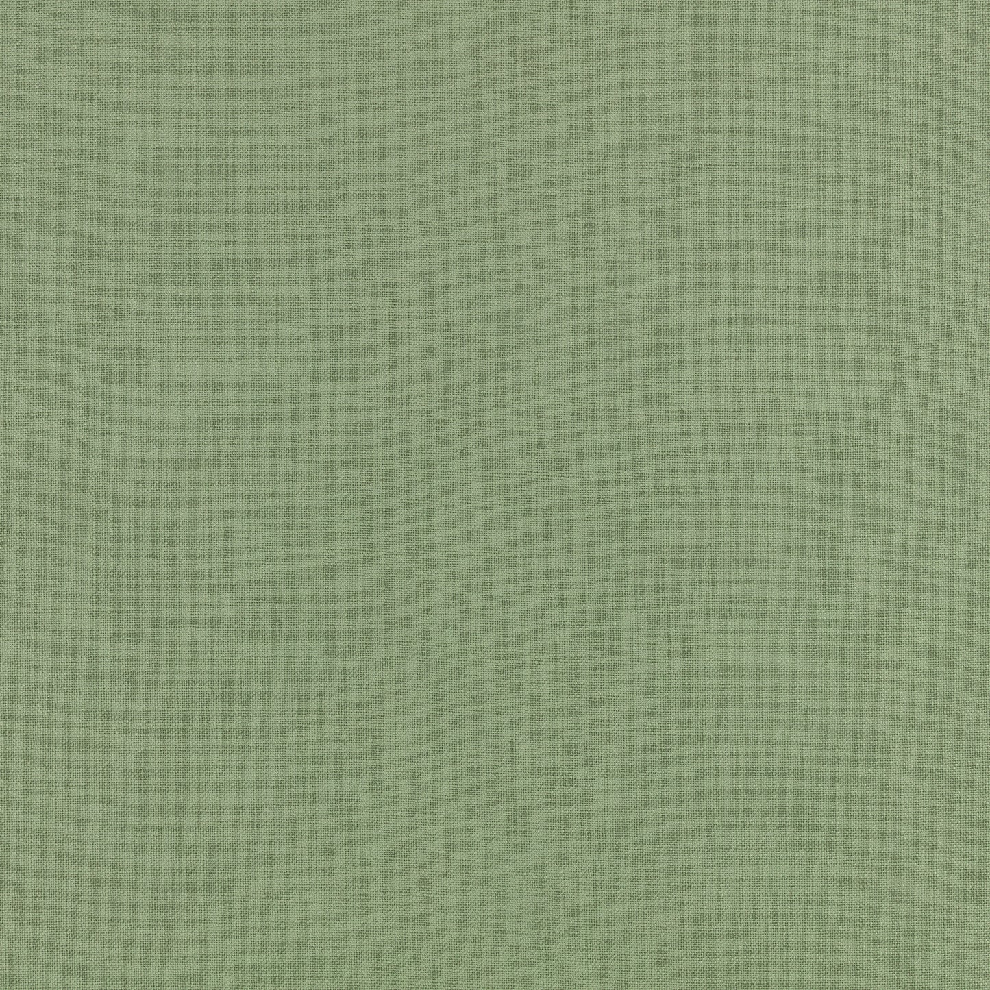 Villa Nova Toronto FR Moss