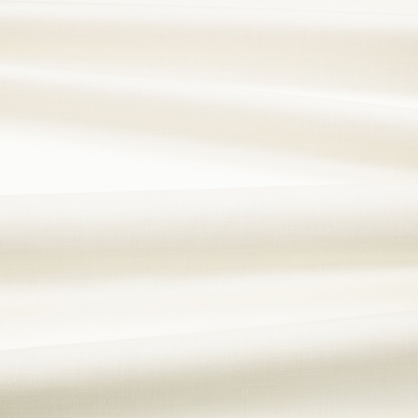 Villa Nova Calagry FR Camelia