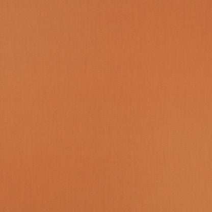 Villa Nova Calagry FR Fox