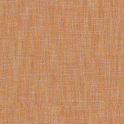 Linwood Vara Amberlite