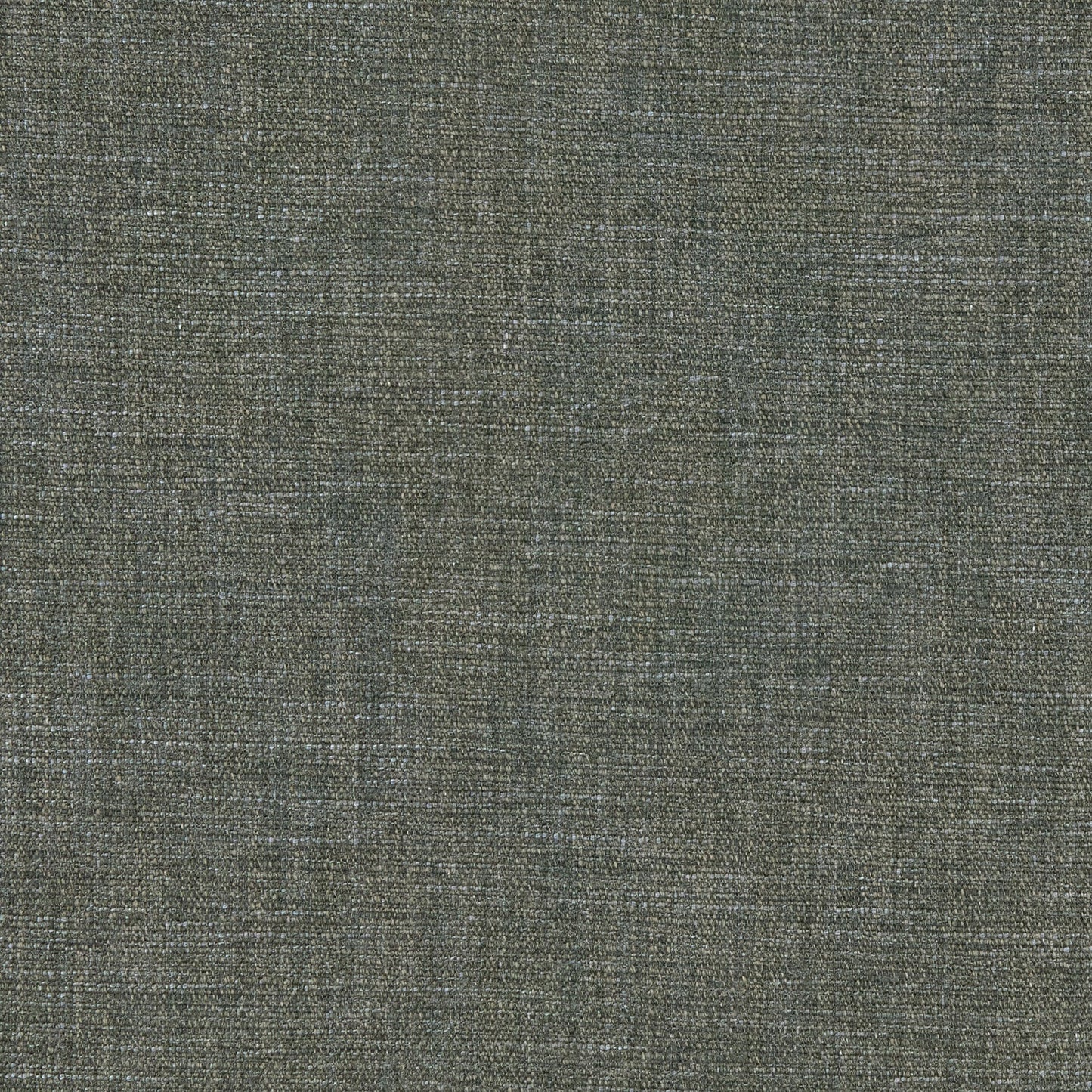 Linwood Vara Fossil