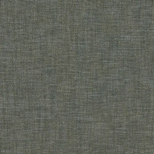 Linwood Vara Fossil