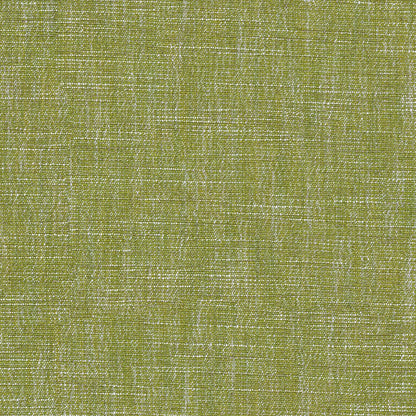 Linwood Vara Lime