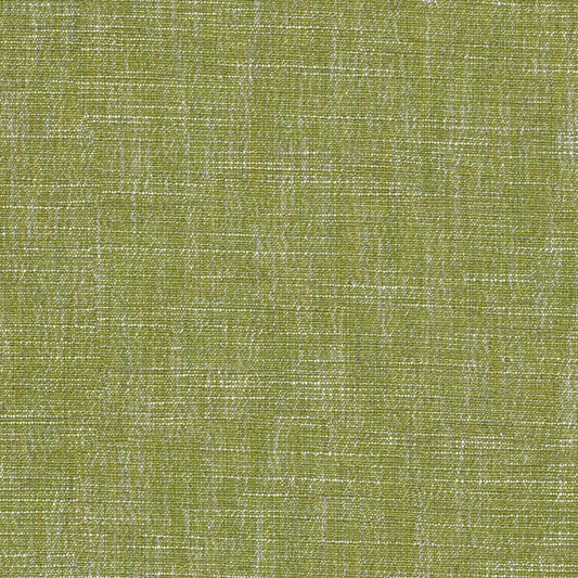Linwood Vara Lime