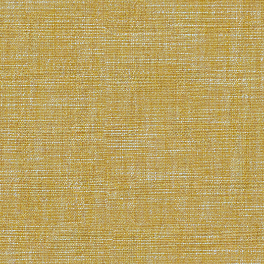 Linwood Vara Marigold