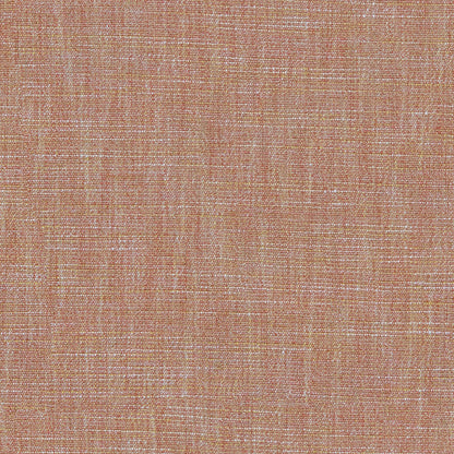 Linwood Vara Rosebud